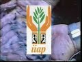 potencial del paiche  arapaima gigas  en la amazonía peruana
