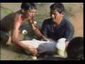 Potencial del Paiche (Arapaima gigas) en la Amazonía peruana
