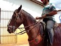 Cavalos.... e Eguas Cavalos.... e Eguas