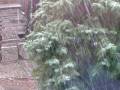 videos de Hevige sneeuwval 23 november 2008 Rozenburg ZH