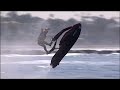 Seadoo 3d