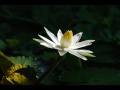 Sunda Degung