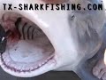SHARK FISHING TEXAS SURF SHARK FISHING TEXAS SURF