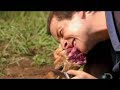 Man Vs. Wild in Zambia (season 4) Man Vs. Wild in Zambia (season 4)