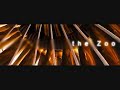 zoo music - Xray Delta 1 - RM1X Groovebox