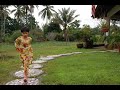 Koleksi Lagu-Lagu Samah - Alus Ula Koleksi Lagu-Lagu Samah - Alus Ula