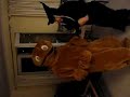 Zippy goes Wild