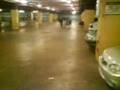 Paseo en Chango