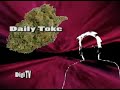 Daily Toke on Underhanded Internet Pussies