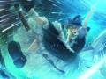 videos de IN Stage 4 (powerful) Boss - Marisa Kirisame's Theme - Love-colored Master Spark