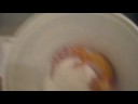 My Six Leopard Leopard Geckos My Six Leopard Leopard Geckos
