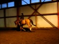 Kalfo Dec 2011
