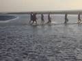 Wadlopen VT 4 (2)