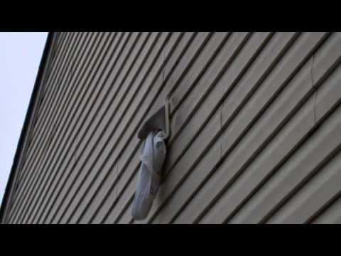 how to get birds out of bathroom vent