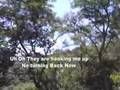 Costa Rica Zip Line Canopy tour Surf the Sky