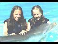 Dolphins At Miami Seaquarium Dolphins At Miami Seaquarium