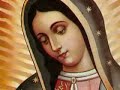 A most beautiful song: Ave Maria (Schubert)