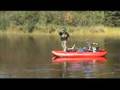 fly fishing minnesota smallmouth bass
