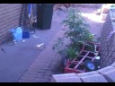 sparkler rocket test fail