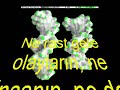 dna-muc-zes-.html