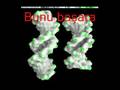 DNA mucizesi