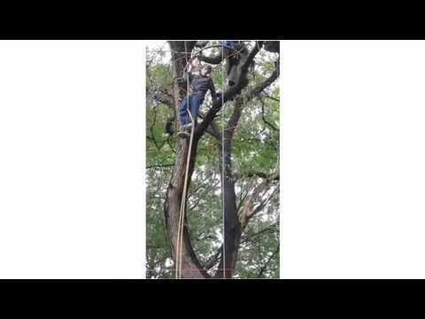 Bekijk video