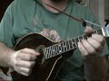 mandolin randomness