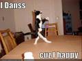 my first lolcat video, plz watch kthnx