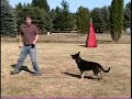 Schutzhund Clicker Obedience Training