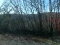 MOV00411.MP4