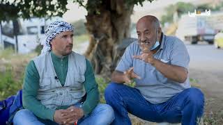 شجرة وحكاية - الجفتلك