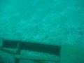 videos de Mergulho em Porto de Galinhas