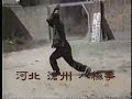 Baji Quan