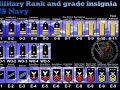 US Ranks Insignia