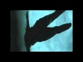 You Belong With Me (Jacob Black Remix!)