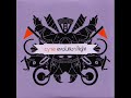 Cyne – Automaton