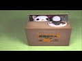 Itazura Cat Thief Money (Piggy) Bank