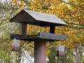 videos de The Bird Table