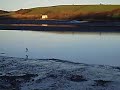 Moorings \"NEW JETTY\" on Teifi