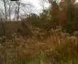 redneck deer sleding