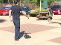 Videomaker's Special Effects 101 - Backwards Effect
