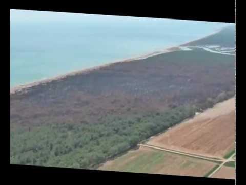 Vedi il video