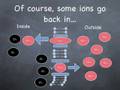 Nondeterminism in the Hodgkins-Huxley Equation (part 1)