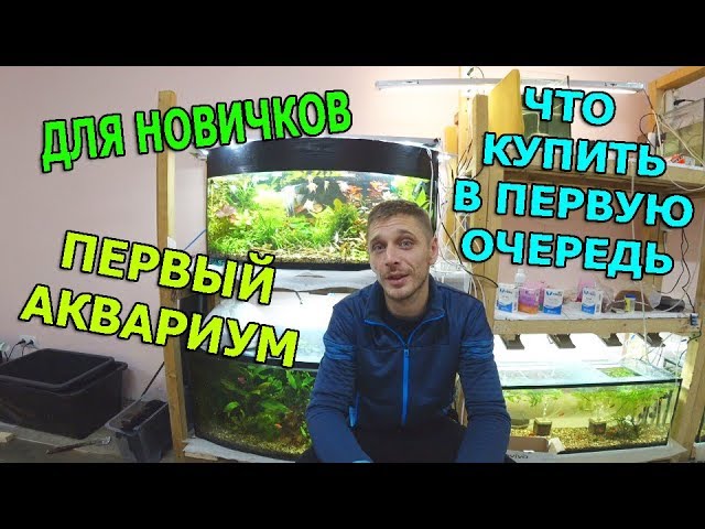 ДЛЯ НОВИЧКОВ! ПЕРВЫЙ АКВАРИУМ!!!