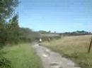 All Terrain Vehicle