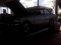 t dogs ke13b
