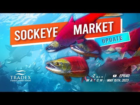 3MMI - Sockeye Market Update: Alaska Season Opens, Bristol Bay Forecast by AI, Expect Large Sockeye this year, USDA Sockeye Purchase