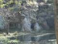 videos de Visit to Richmond