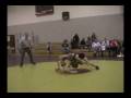 videos de All Gold 2.avi