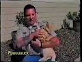 meowarchy-short-the-little-kitty.html